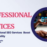 Professional SEO Services
